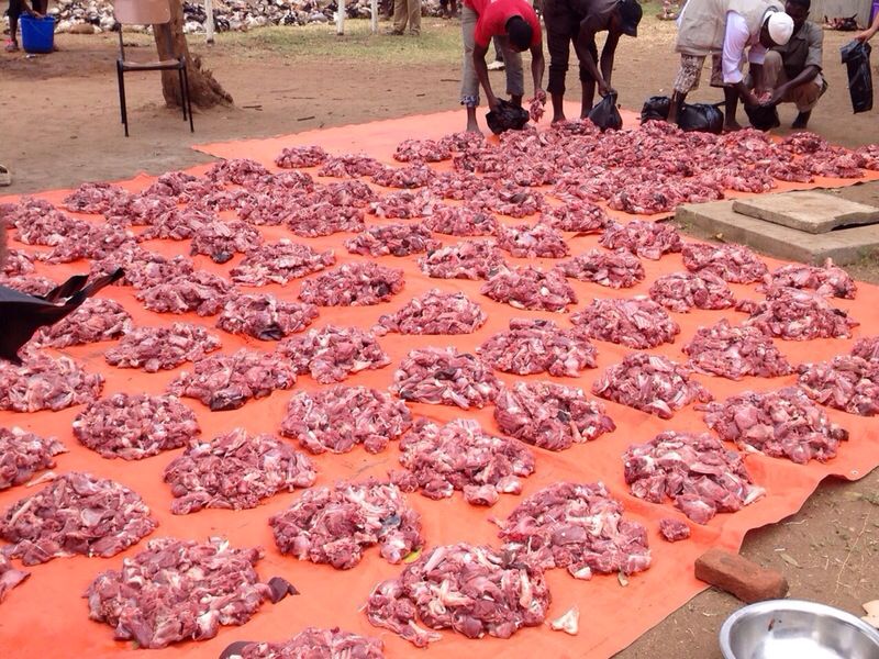 Send your requests to Malawi Relief Fund UK for the annual Eid-U-Adha Qurbani